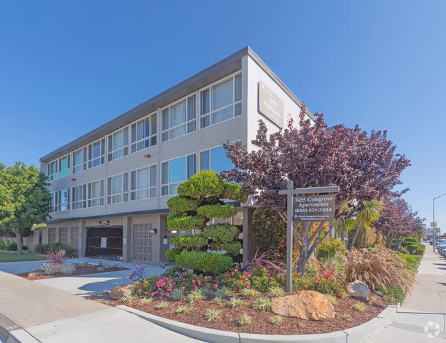 3633 Colegrove Apartments