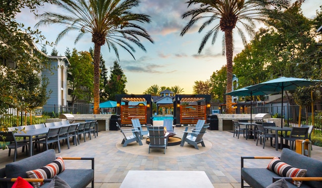 Monterey Grove