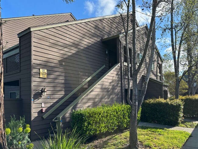 780 Teatree Court