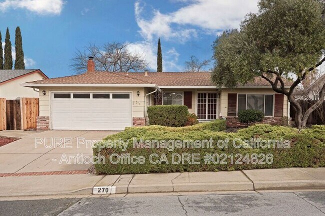 270 Kingsberry P