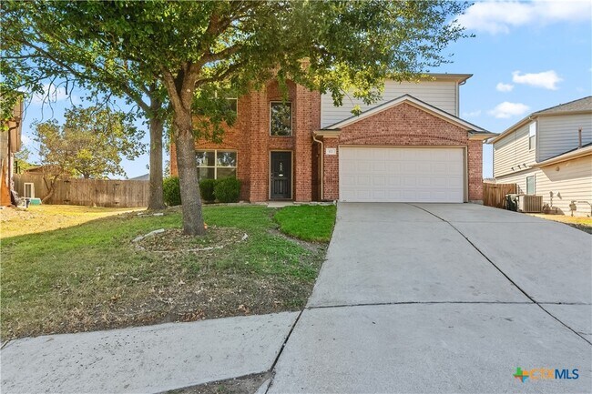 172 Coreopsis Cove Kyle, TX 78640