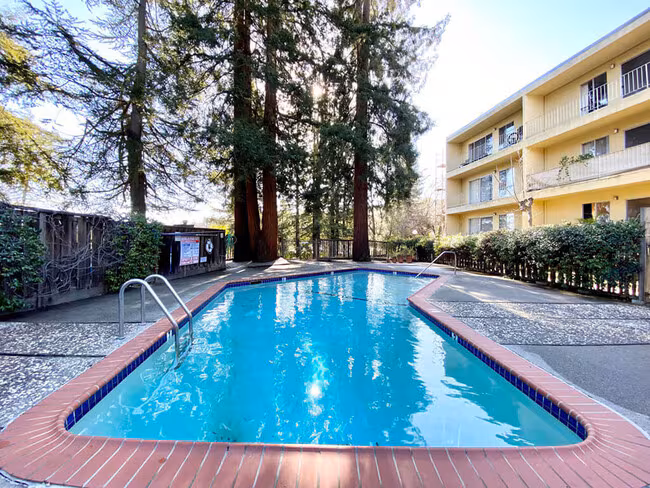 The Morgan Apartments