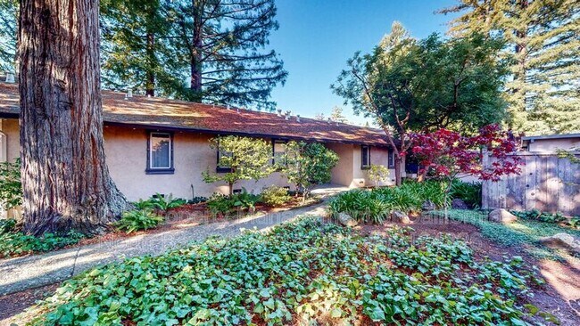 10 Catalpa Ave Mill Valley, CA 94941
