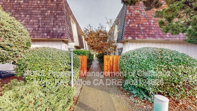 Slater St Santa Rosa Apartmnent