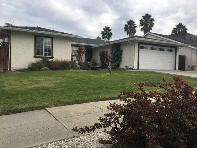 6302 Culvert Drive