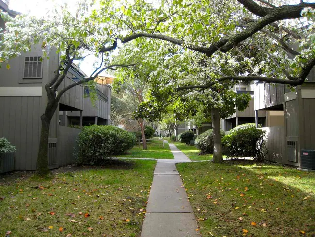 Oakwood Village