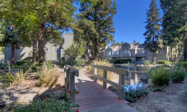 Wood Creek