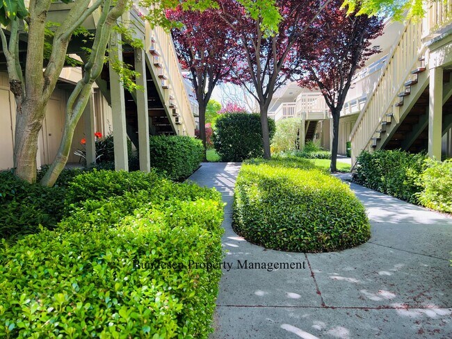 720 Petaluma Blvd S Petaluma, CA 94952