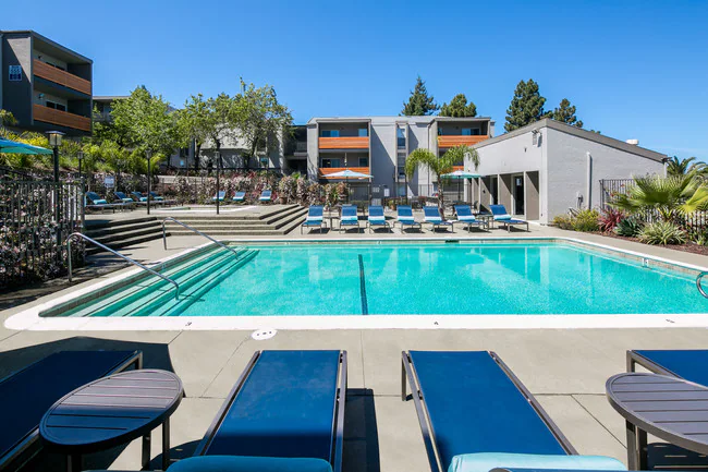Bayside Apartments