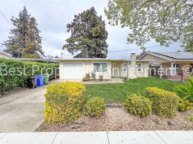 Great Shape Cute Single Family Home in North Fremont