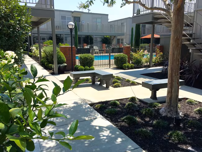 Olive Tree Apartments