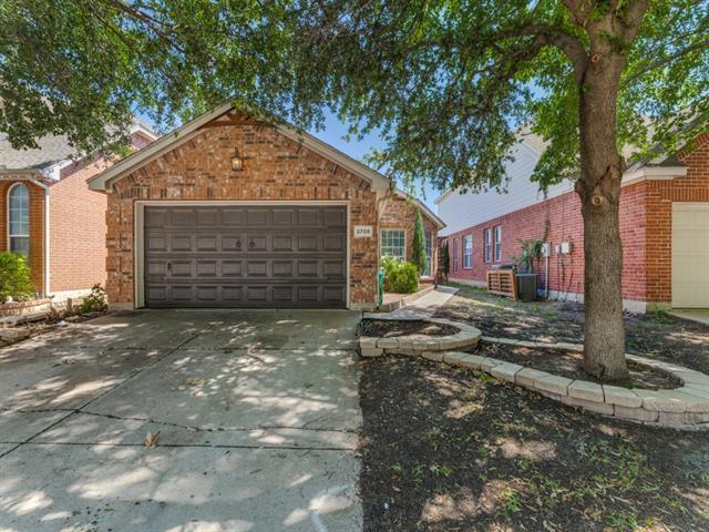 2709 Mountain Lion Drive