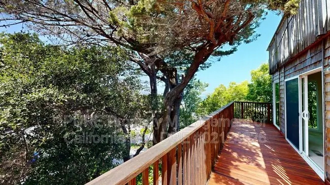236 San Carlos Ave Sausalito, CA 94965