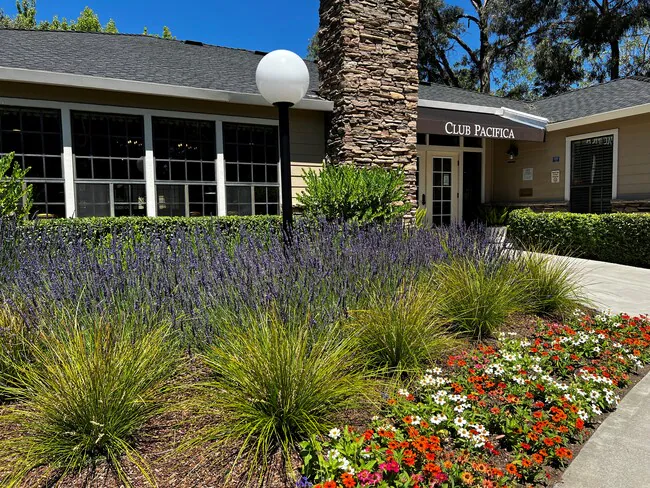 Club Pacifica Apartments