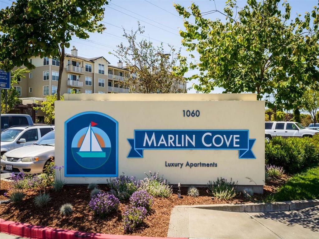 Marlin Cove