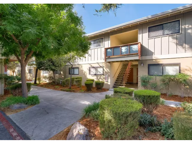 Cedar Apartments