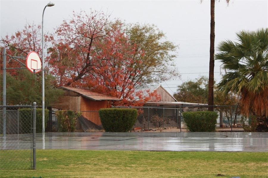 Guadalupe Barrio Nuevo