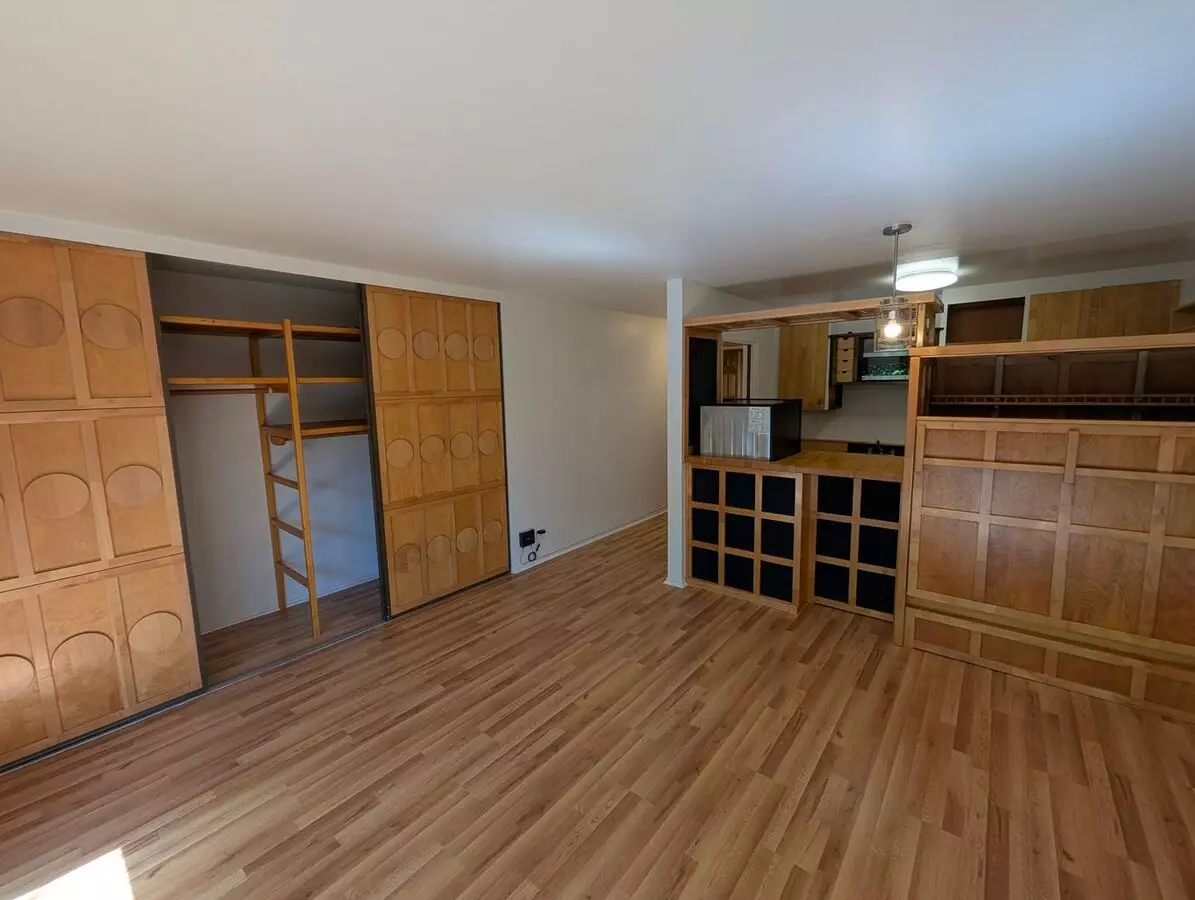 425 Orange Street #311