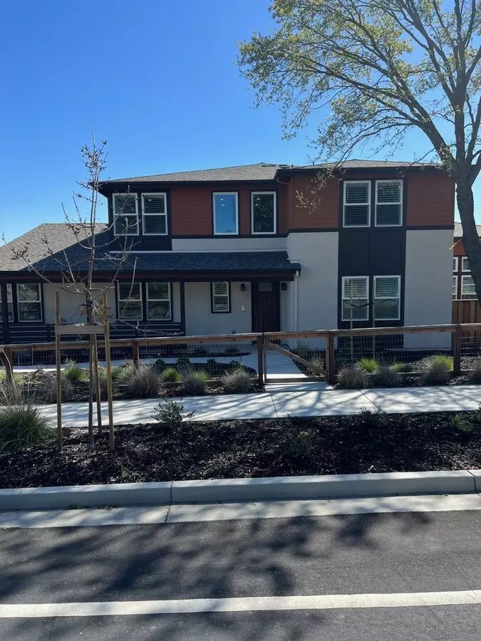 Brand New Ponderosa Beauty