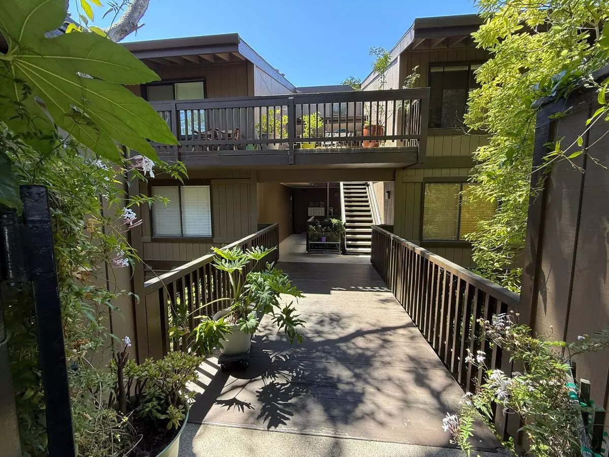3295 La Mesa Drive