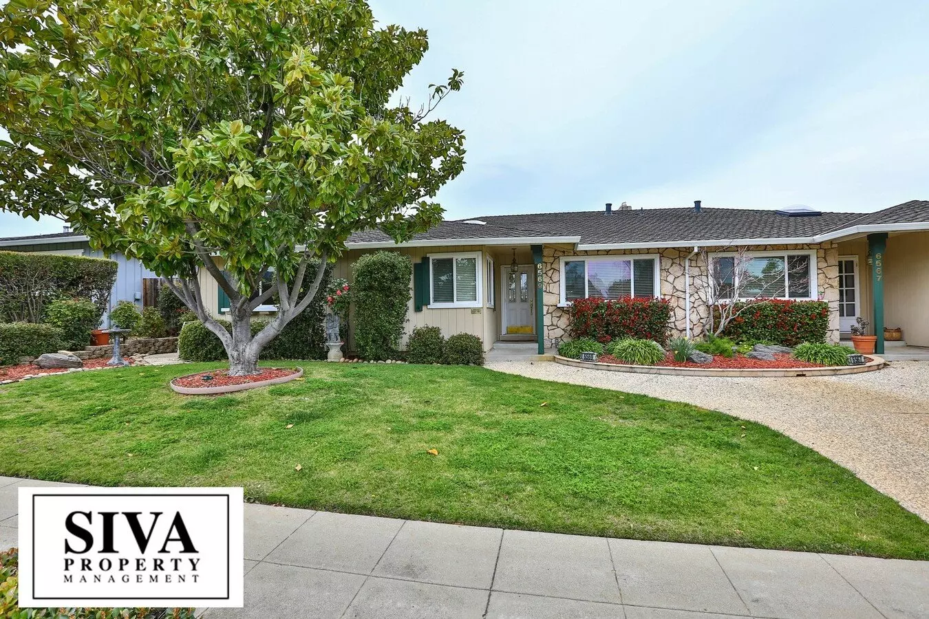 Almaden Beauty