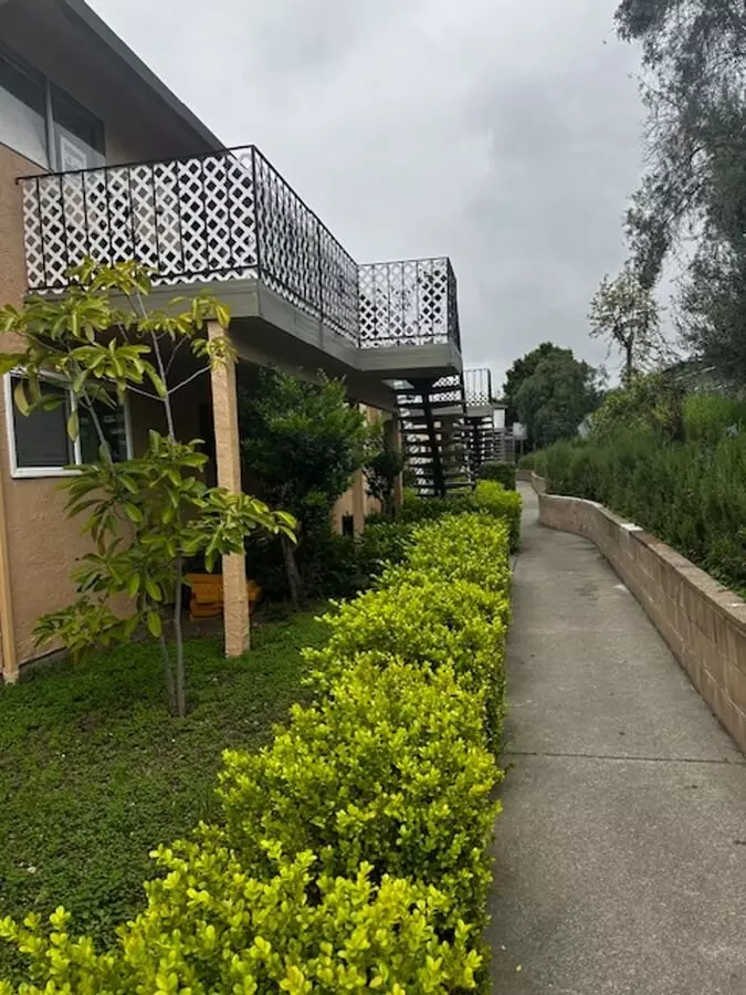 Amber Terrace