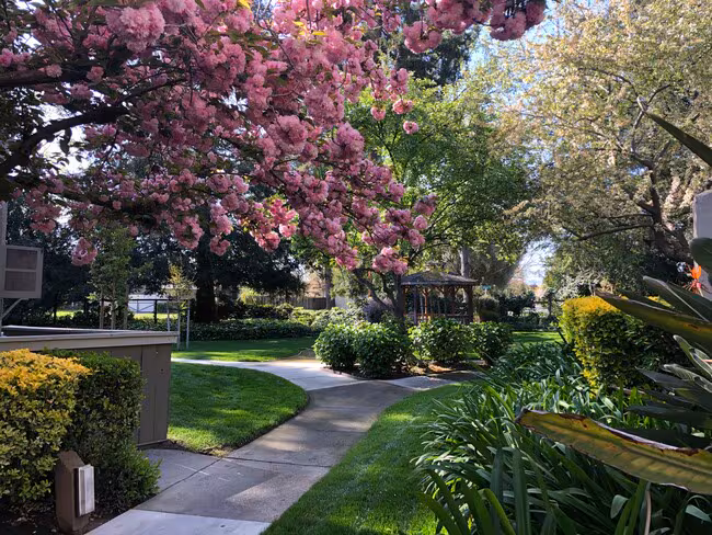 Briarwood Apartments