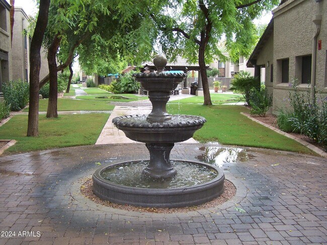 5995 N 78th St Scottsdale, AZ 85250
