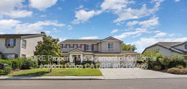79 Bottlebrush Court
